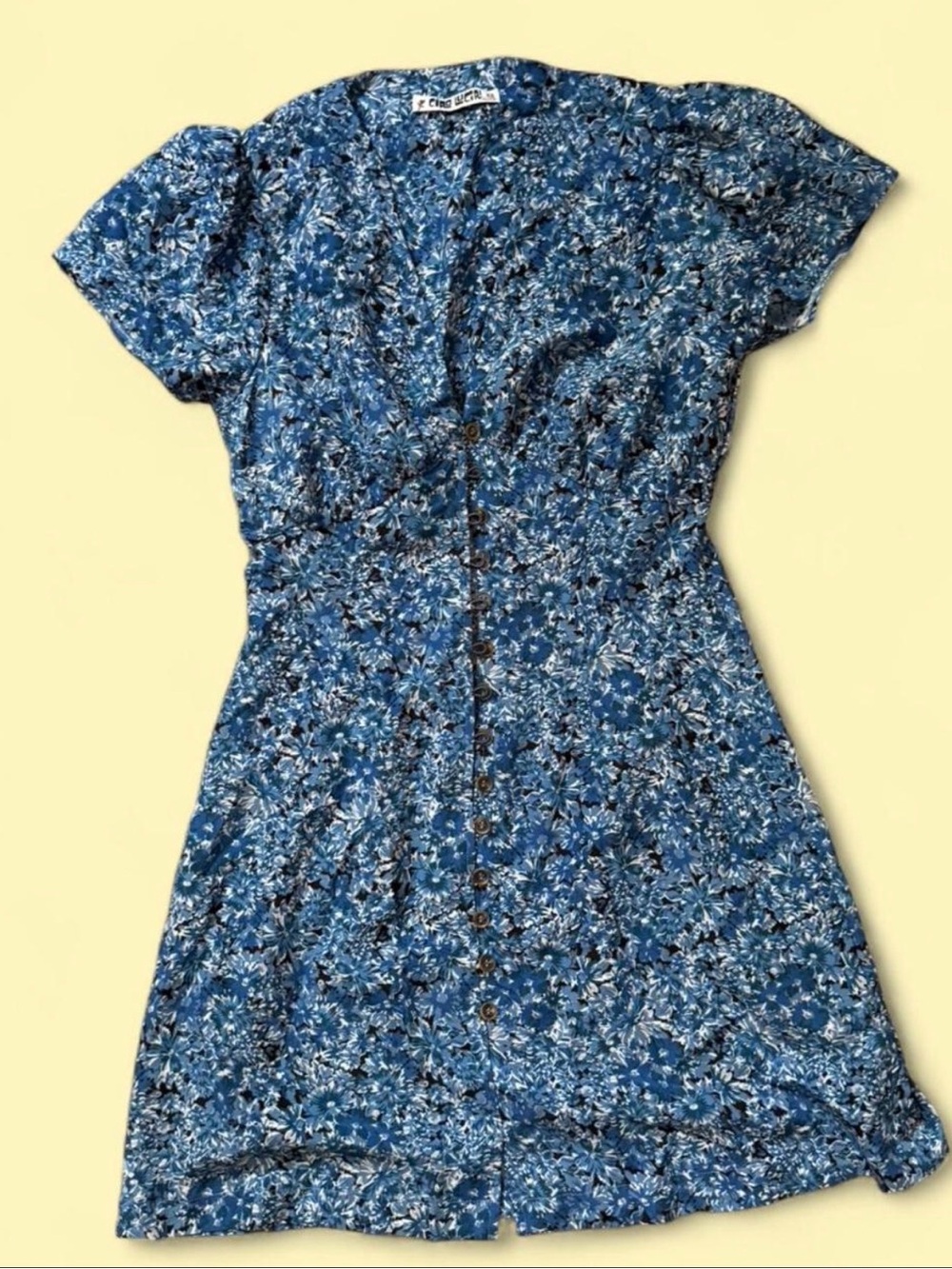 Ciao Lucia Blue Floral Button-Front Mini Dress